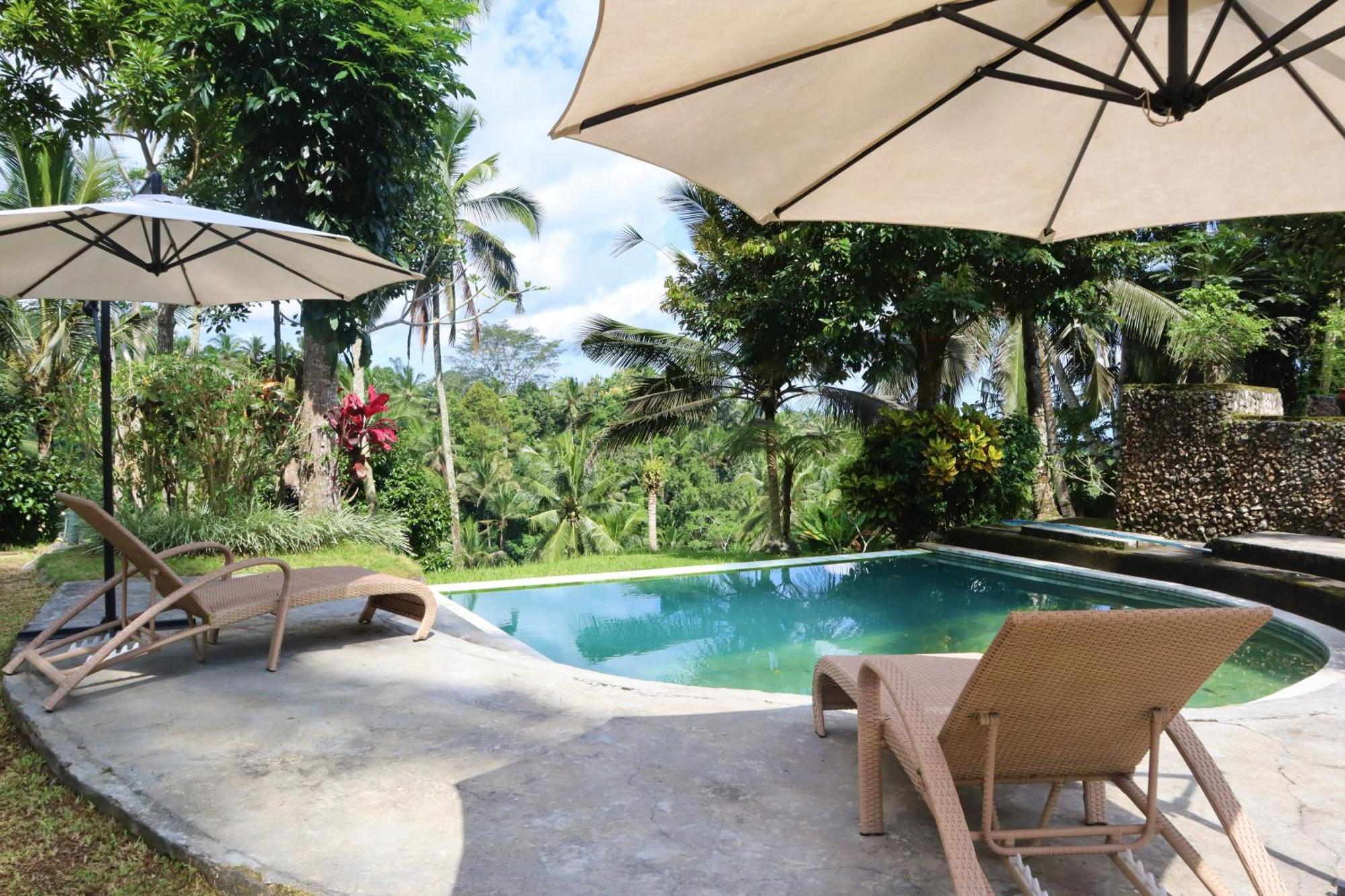 Aventus Resort Ubud Tegallalang  Exteriér fotografie