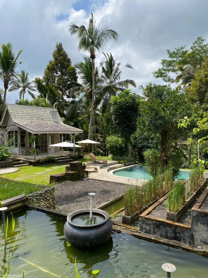 Aventus Resort Ubud Tegallalang  Exteriér fotografie